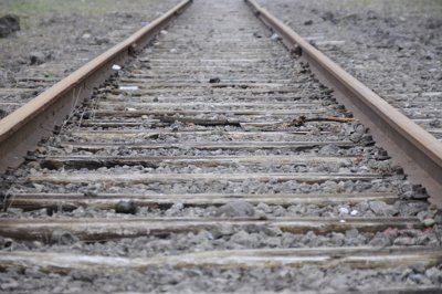 Sur le chemin_4337495753_l.jpg